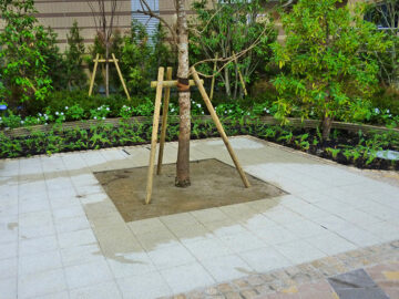 マンション外構・植栽工事