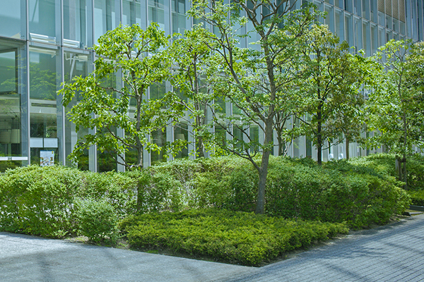 企業様造園工事