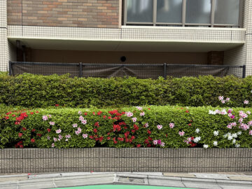 住宅団地緑化工事