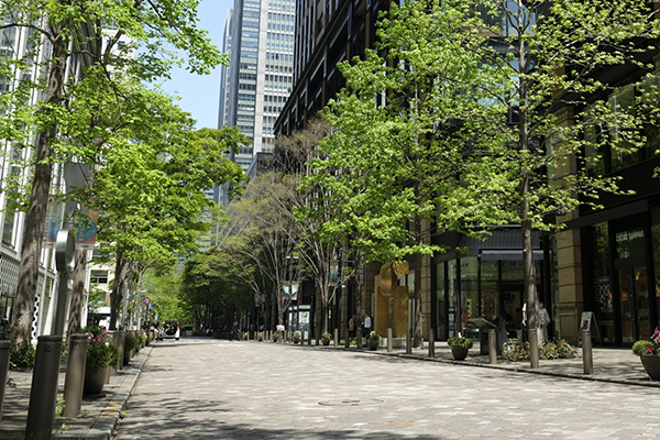 公共造園工事