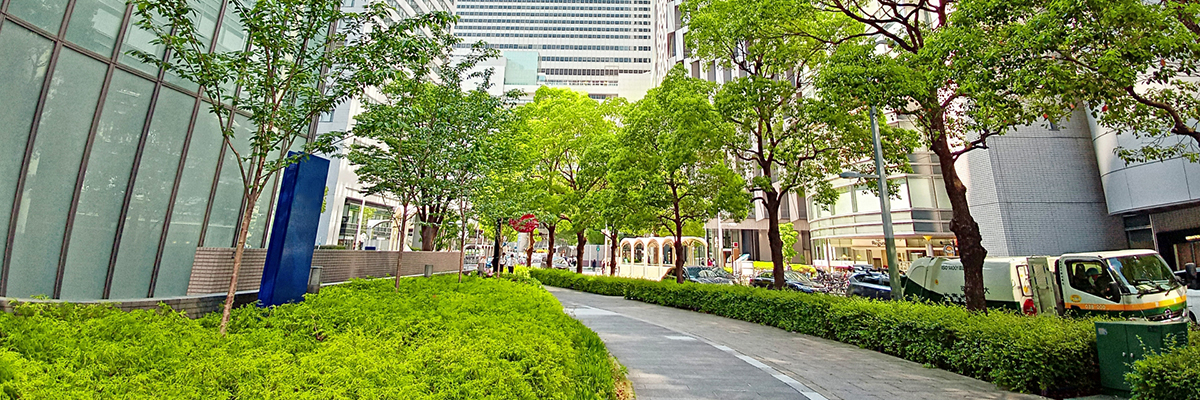 地域環境を整える公共造園工事
