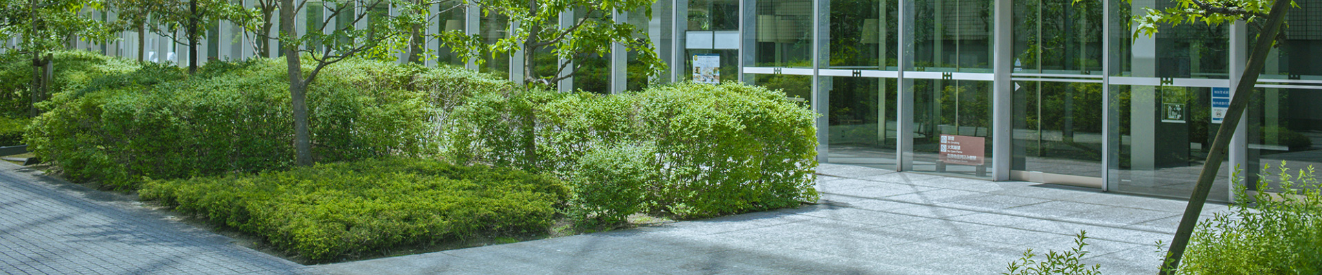 企業様造園工事