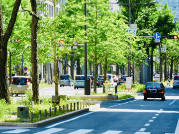 道路緑化工事