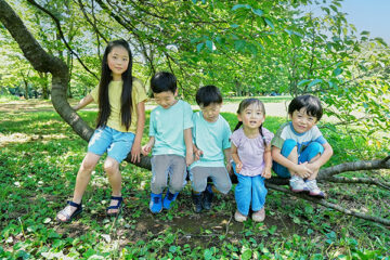 幅広い年齢に対応した利用しやすさ